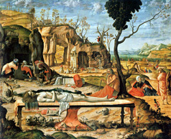 vitorre carpaccio1